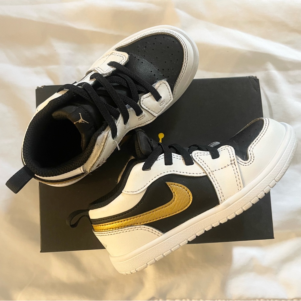 Jordan 1 low ALT  TD